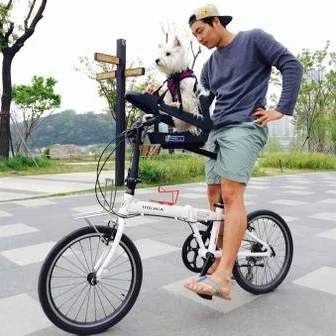 Bike Safely Now With Your Small Dog