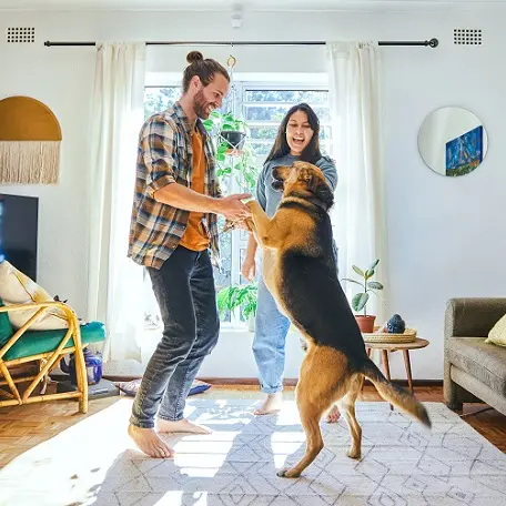 Getting a Dog? Learn More