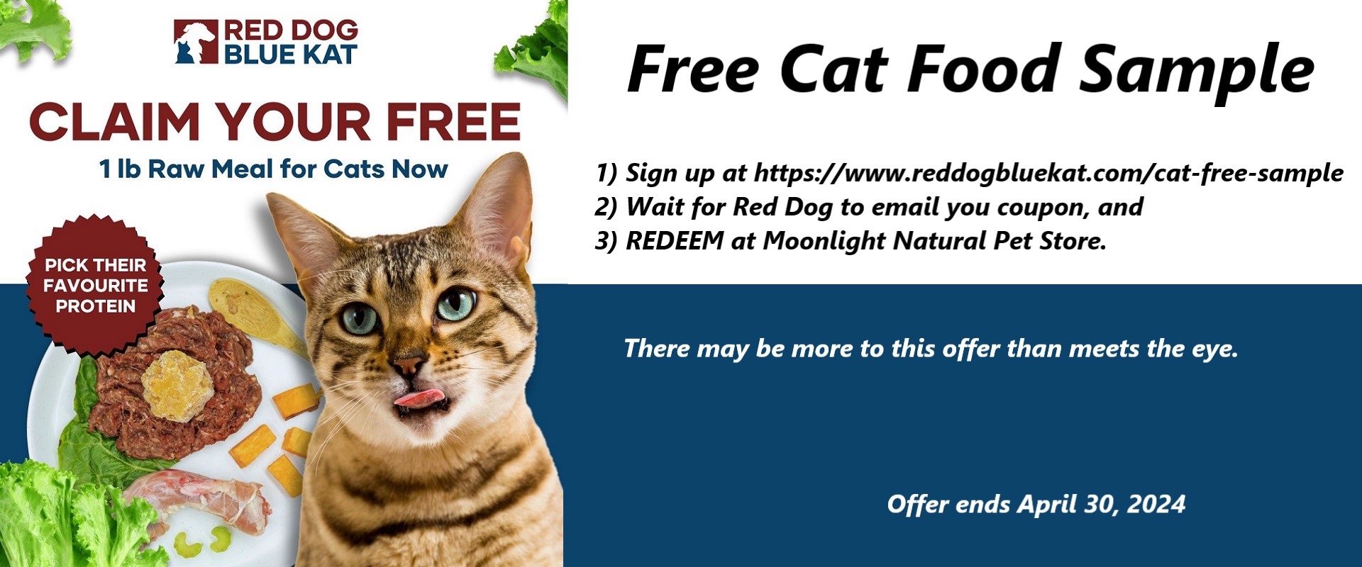 Free Sample Raw Cat Food from Red Dog Blue Kat