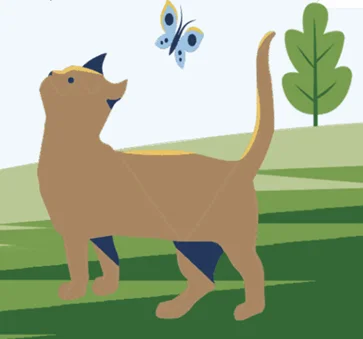 Nature's Logic dry cat food