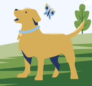 Nature's Logic wet dog food