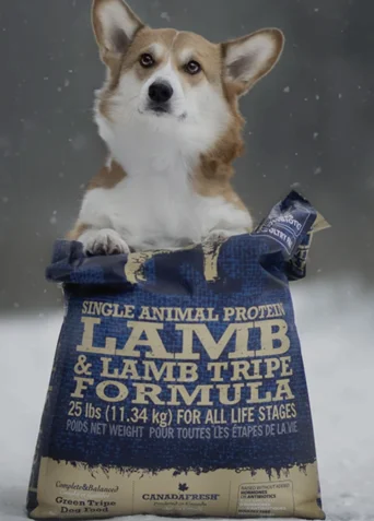 PetKind Single Animal Protein dog food