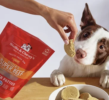 Stella and Chewy's freeze-dried raw dog food