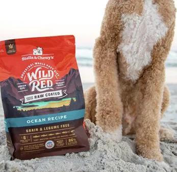 Stella and Chewy's grain-free raw-coated dog kibble