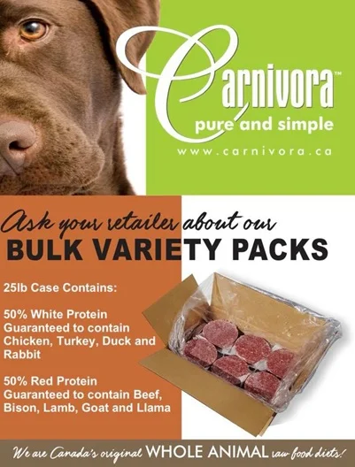 Carnivora raw dog food