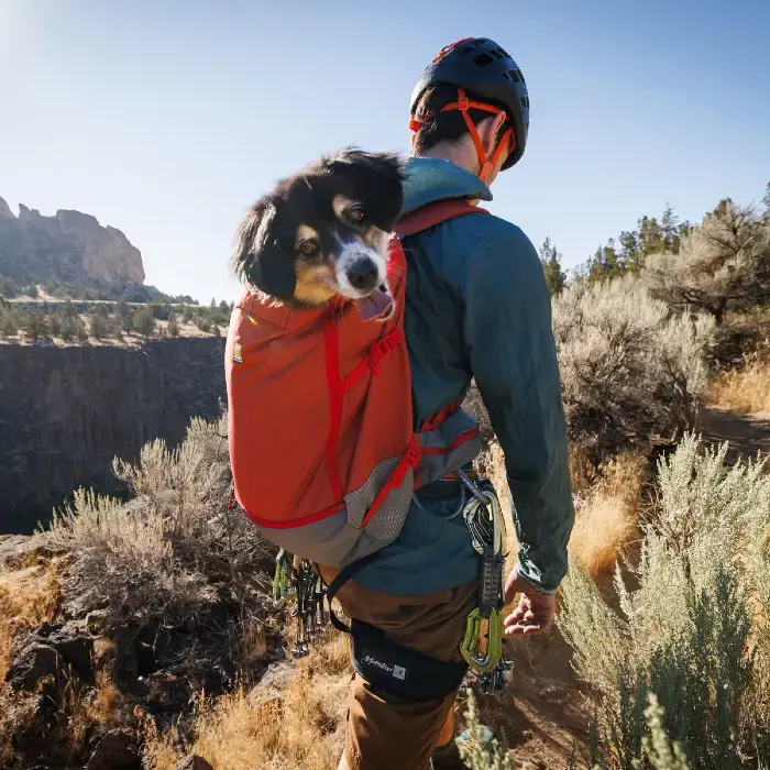Ruffwear dog backpacks
