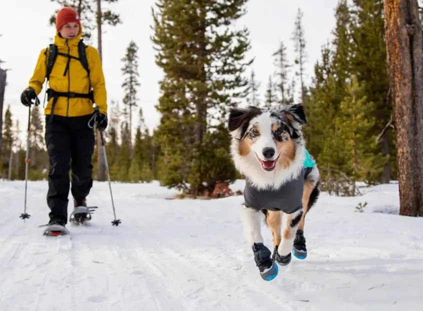 Ruffwear dog boots