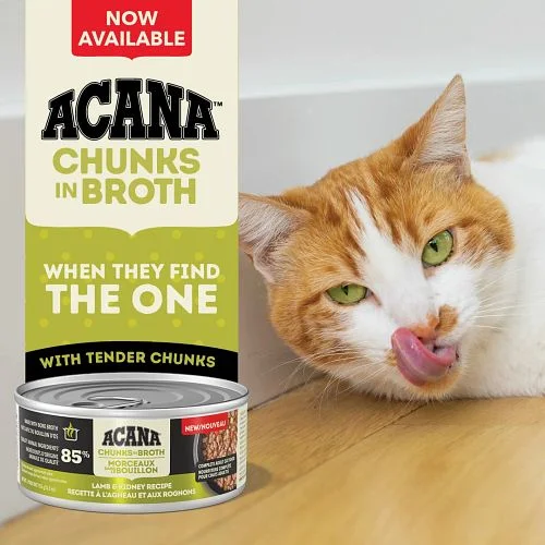 Acana Premium Pate wet cat food