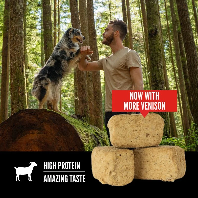 Orijen freeze-dried dog treats