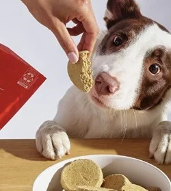 Dog being offered freeze-dried raw dog food