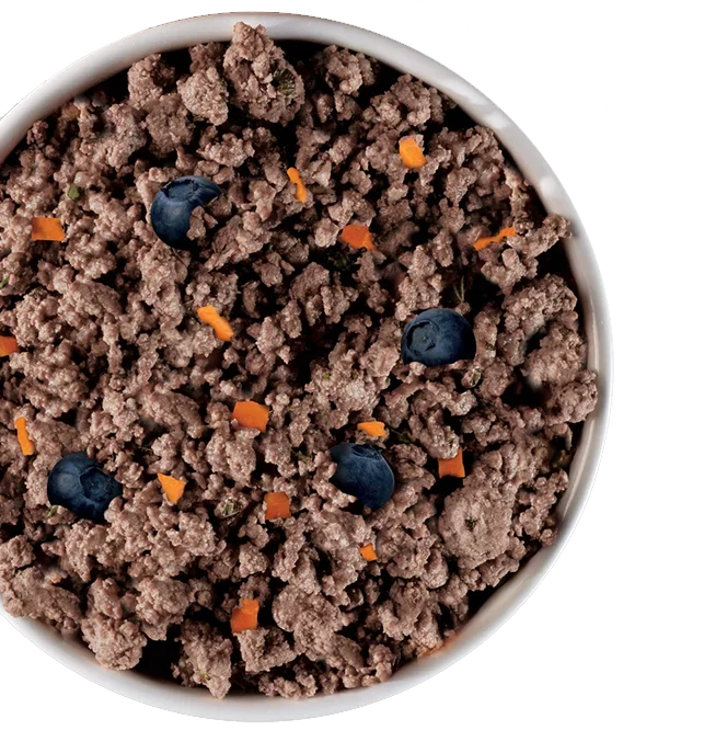 Bowl of gently cooked dog food