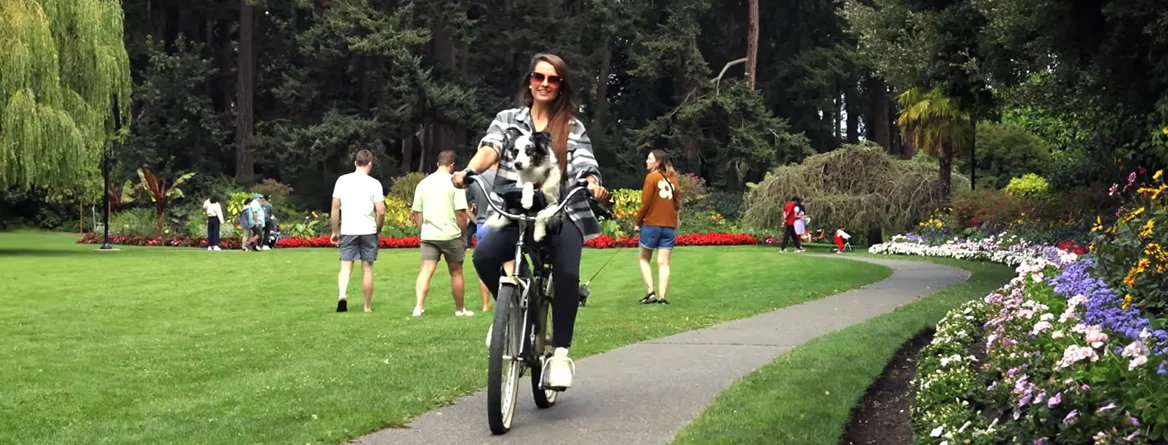 Bike Safely and Easily 
With Your Dog
in Canada