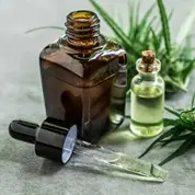 CBD Oil 
For Pets