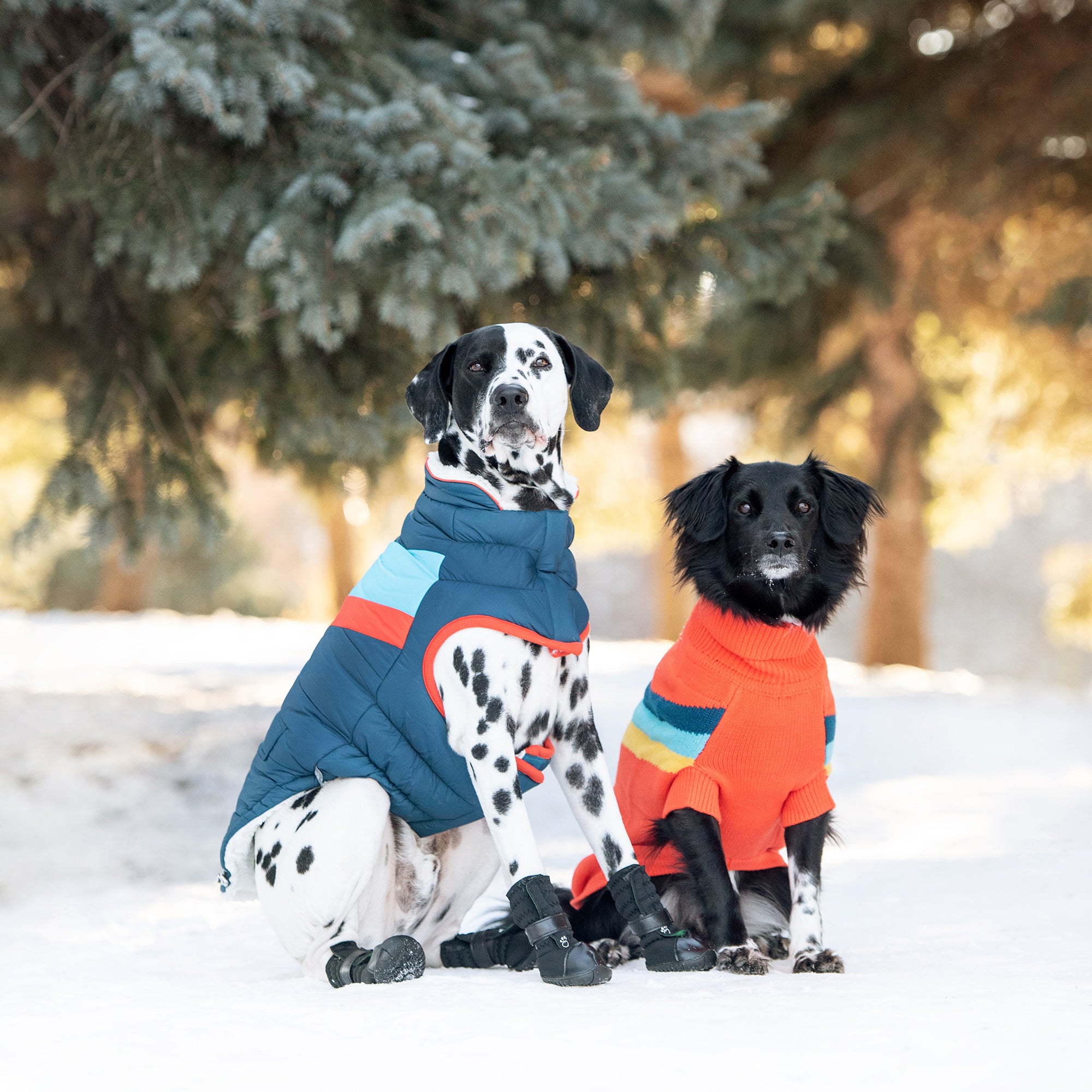 category - Dog Clothing & Outdoor