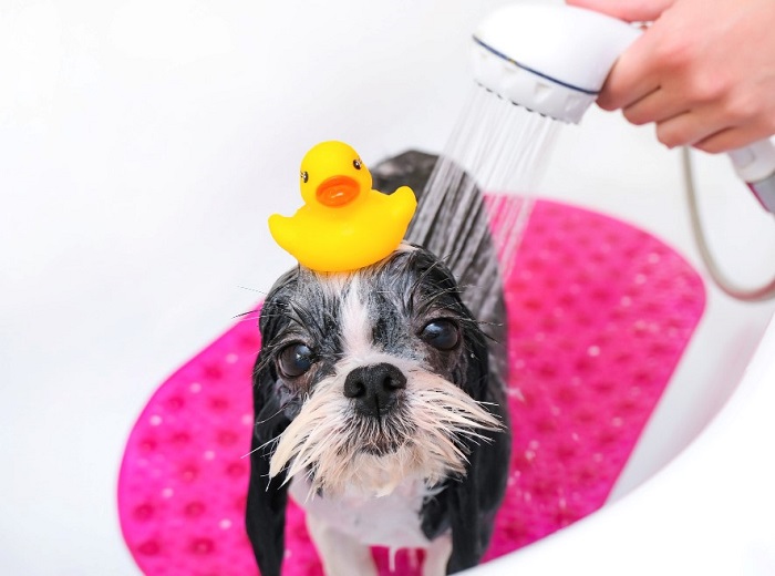 category - Dog Shampoo & Grooming Supplies