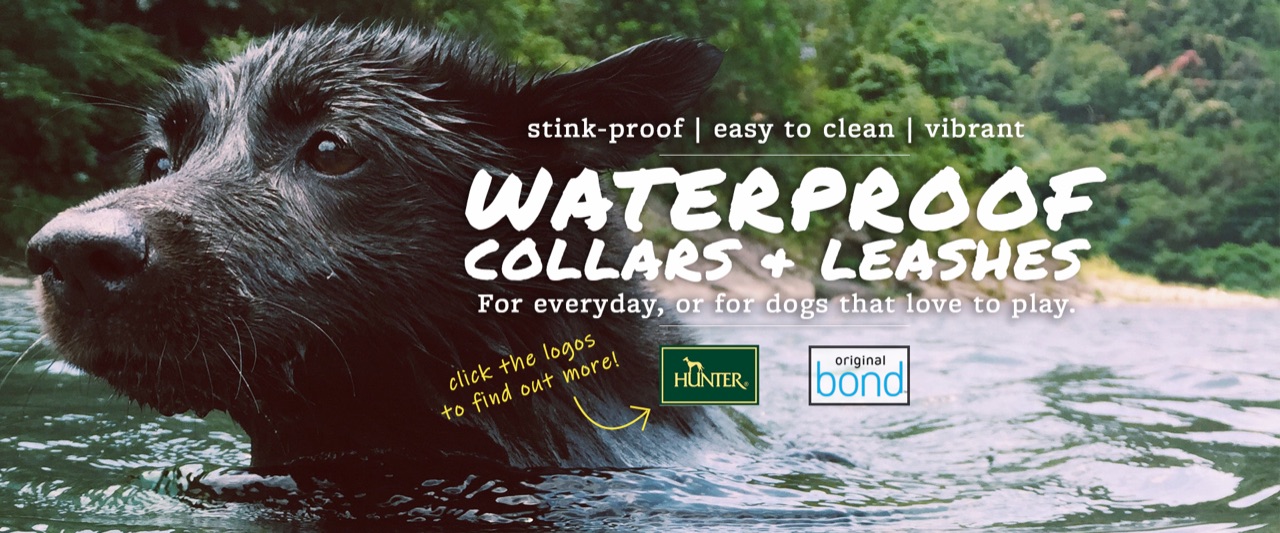 Moonlight Dog Cafe Raw Dog Food & Cat Food Pet Store Pet Supplies